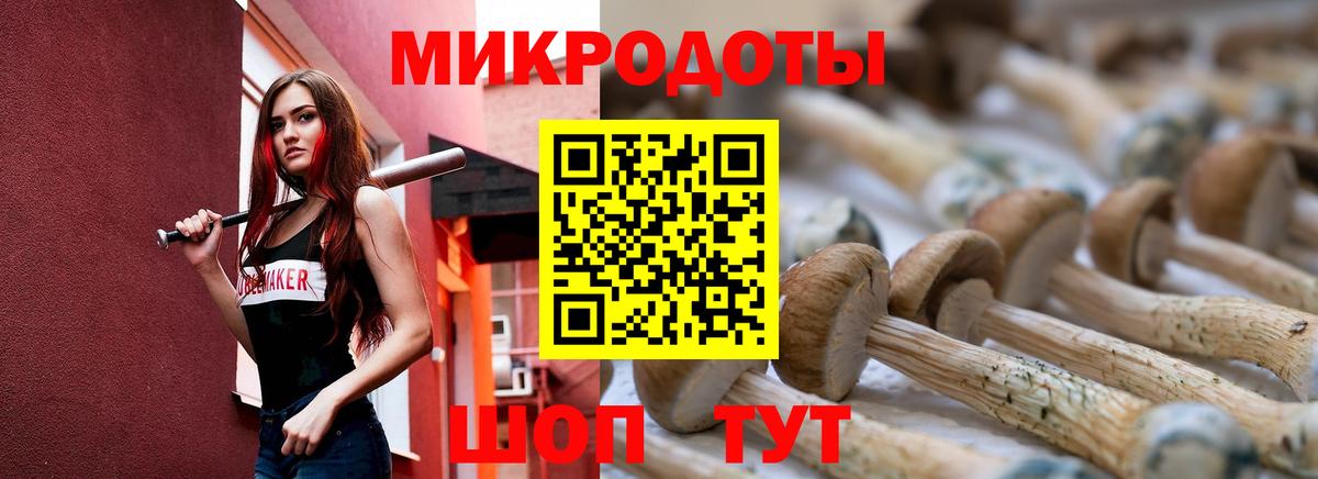 Псилоцибиновые грибы мицелий  Галлюциногенные грибы Psilocybe  Нягань  Вход с VPN 